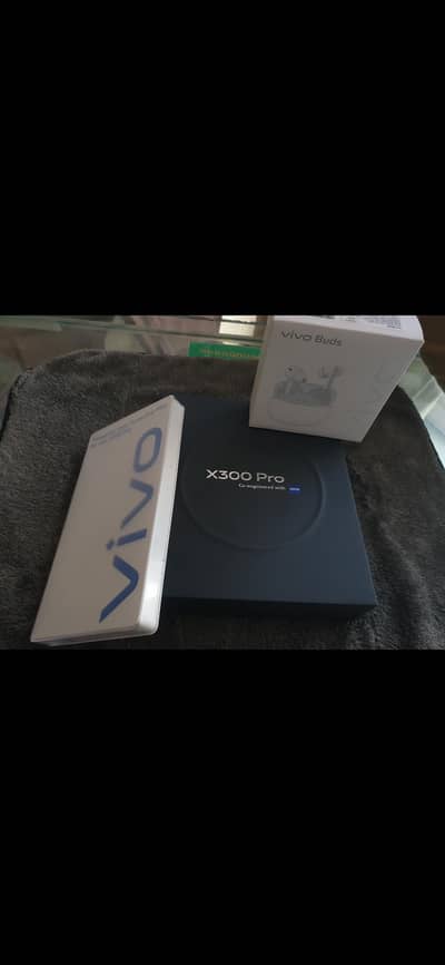 vivo x300