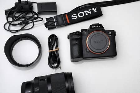 Sony a7iii and Sigma 50mm 1.4 DG DN