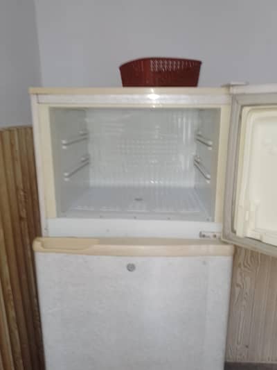 medium size pel o3o6/3655721