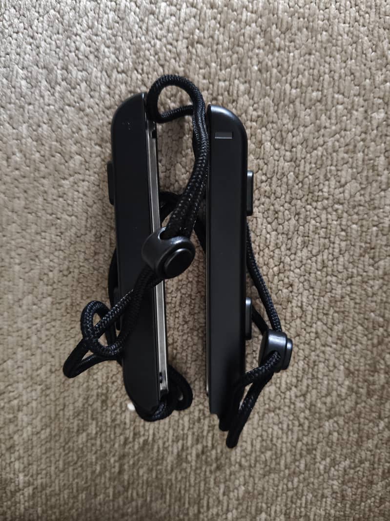 Nintendo switch V2 Jailbroken 11