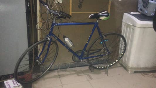 vintage brand Raleigh record classic bicycle since 1980s