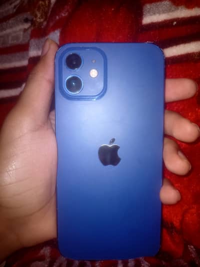 Apple iPhone 12