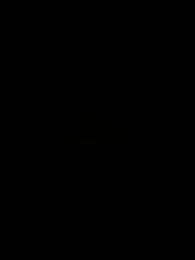 elysianone1705