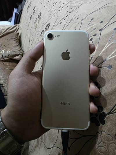 iphone 7 PTA approves