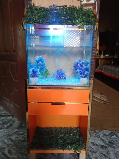 A Aquarium for