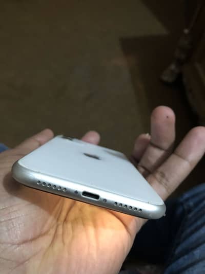 Iphone 11 PTA