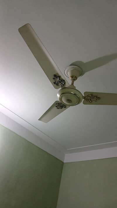 used Fans