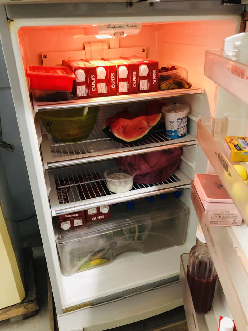 Fridge 1