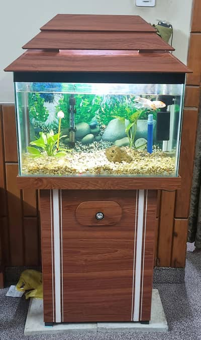 Fish Aquarium with all Accessories