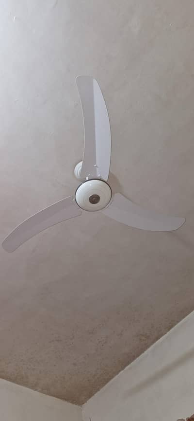celling fan