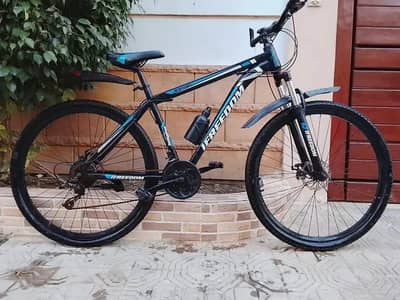 29" Mountain Bike - Freedom Sport (Great Condition)