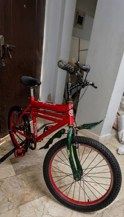 12-13 years old boy cycle only 6000