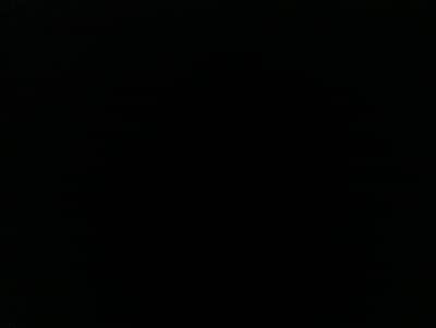 need driver for yango