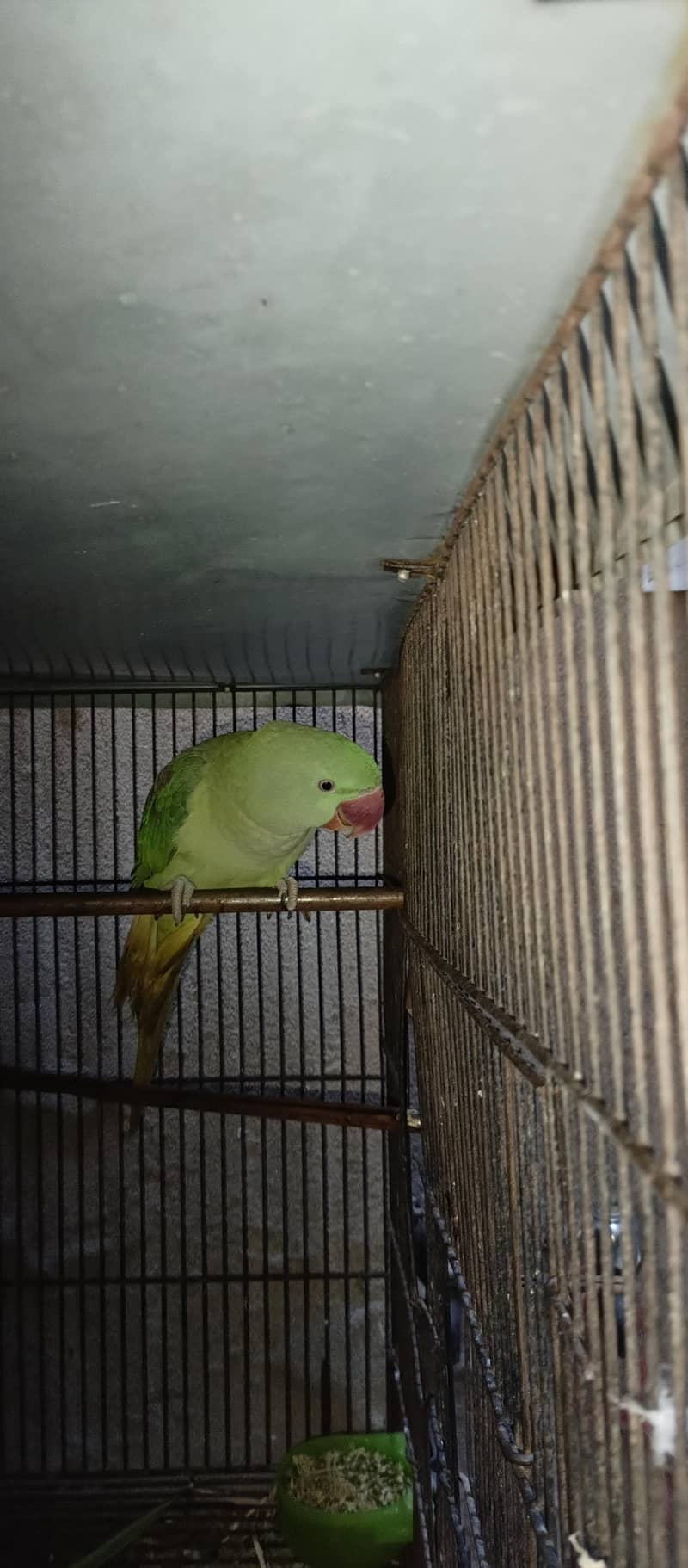 Raw patha available 2