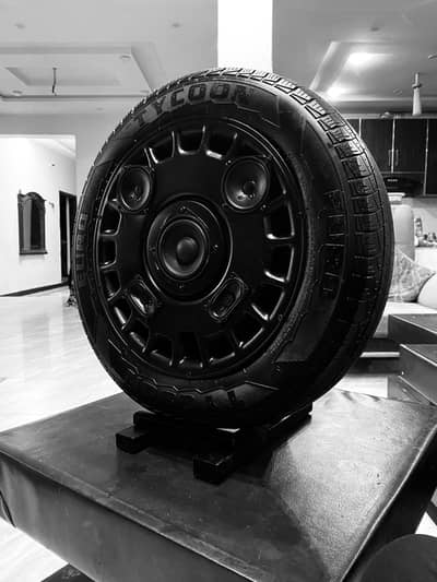 Hand made customised speaker