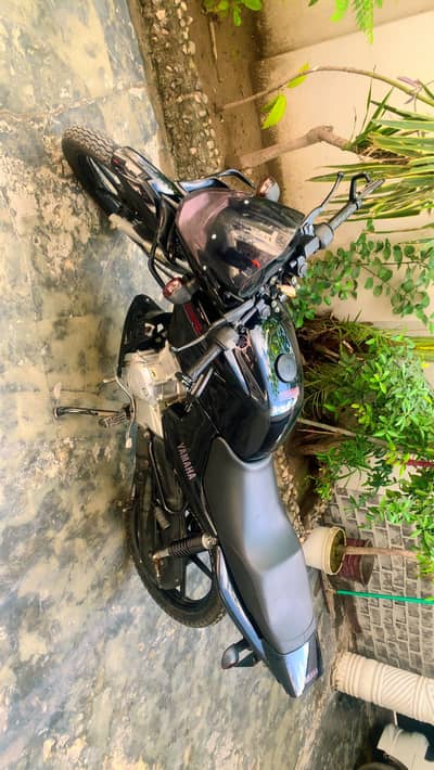 Yamaha ybr 125 full modified