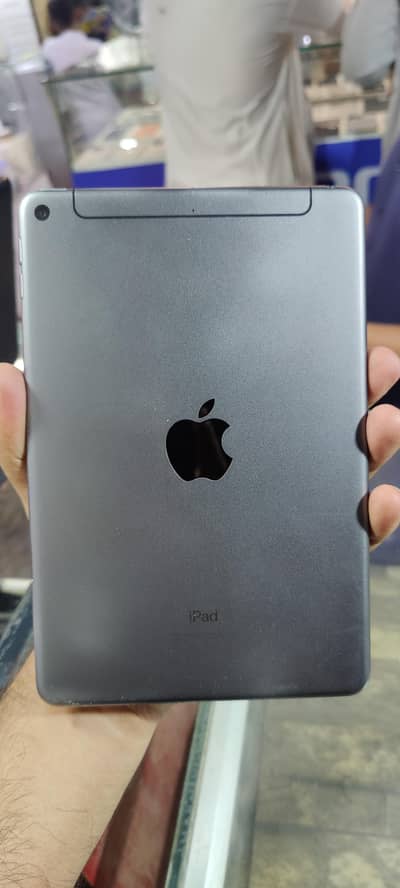 ipad mini 5  256gb wifi