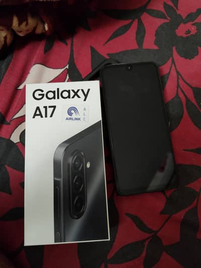 Samsung A17 8/256