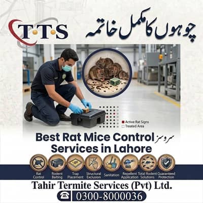 Rodents Control Services in Lahore