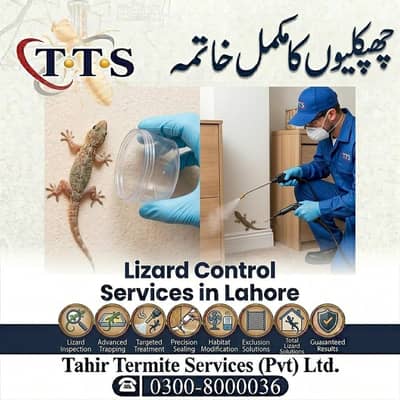 Lizards Control Services in Lahore