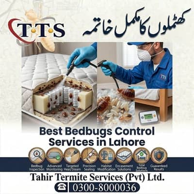 Bed bug Treatment Services in Lahore