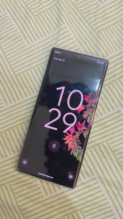 pixel 6 pro 12/256 pta approved