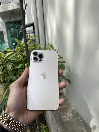 iphone 12 pro max pta approved 256gb golden color with box