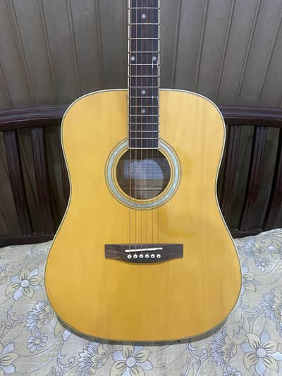Eko jumbo guitar