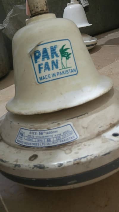 pak fan ceiling fan