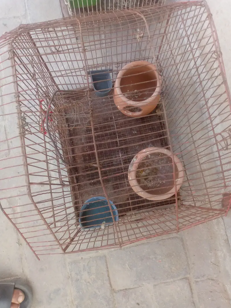 Cage/birds cage — photo 2