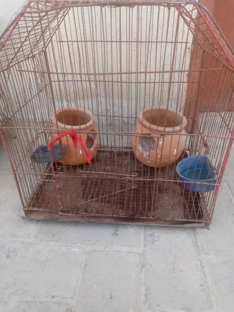 Cage/birds cage — photo 3