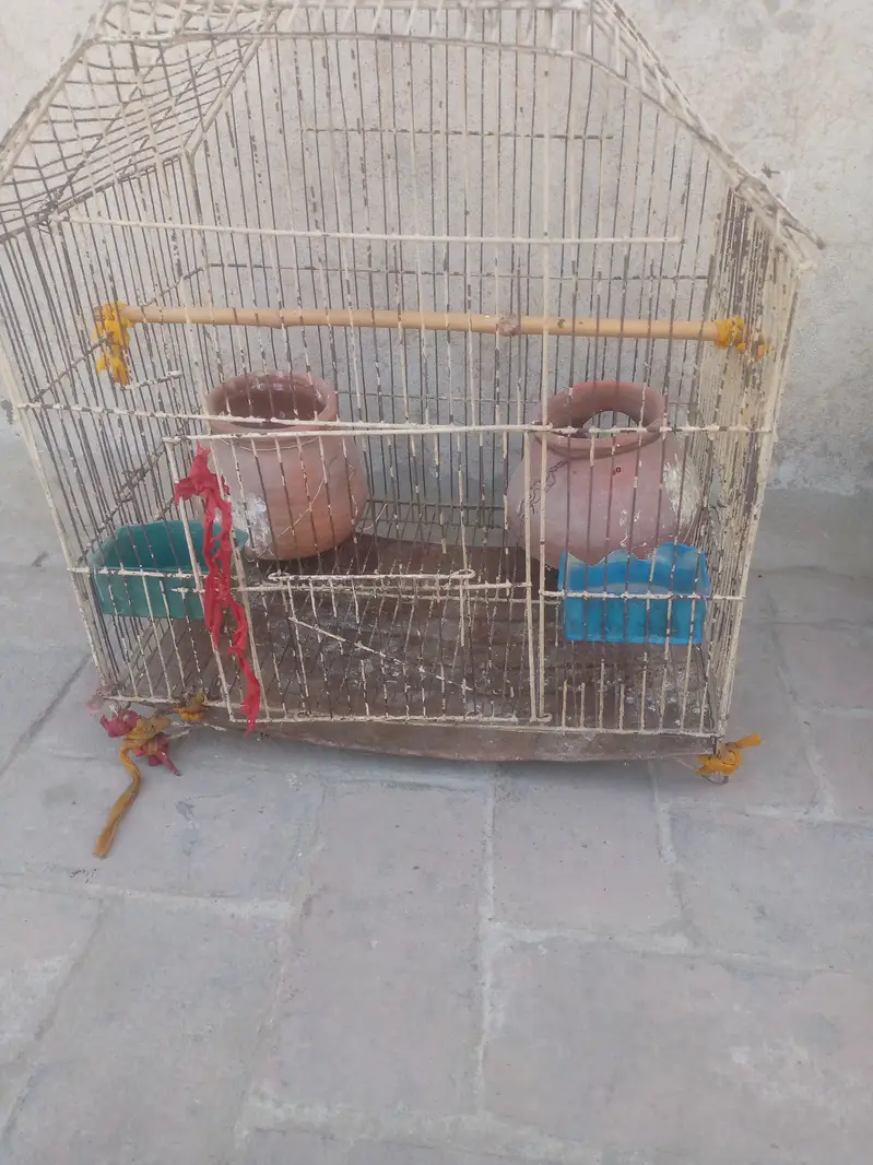 Cage/birds cage — photo 5