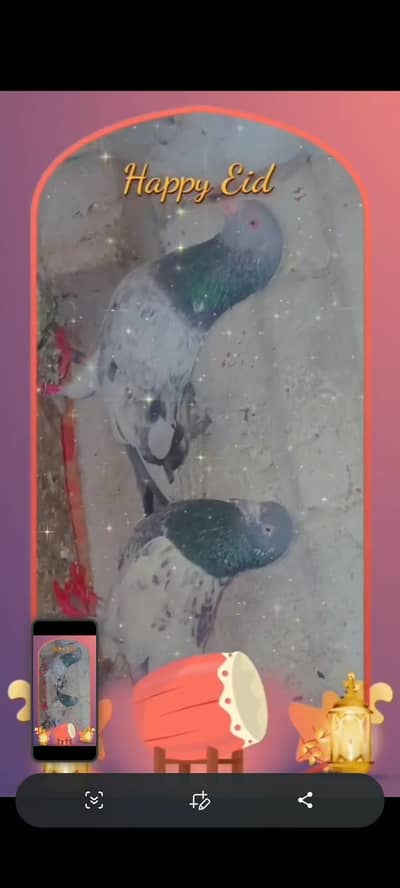 Teddy and Kamagar Nar