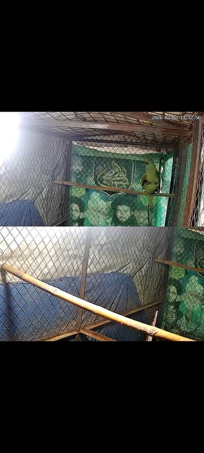 confirm breeder jora full add read