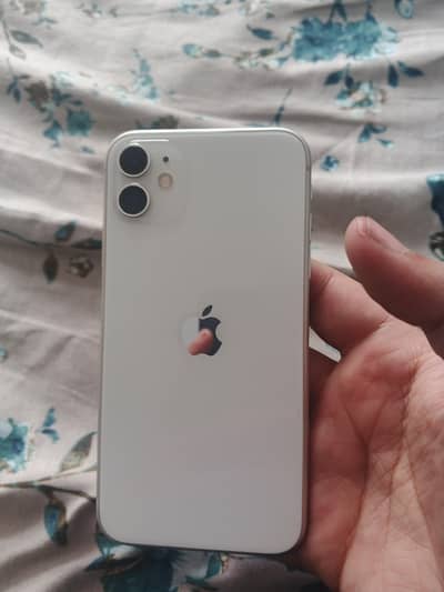 iphone 11 water pack