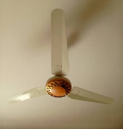 Fans AC/DC - Royal & Wahid for sale