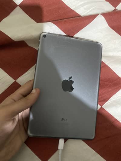 ipad mini 5