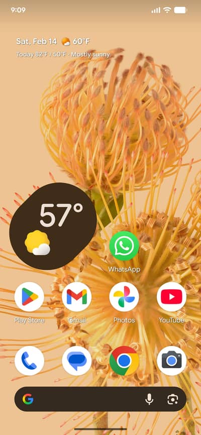 goggles pixel 6 pro official pta approved