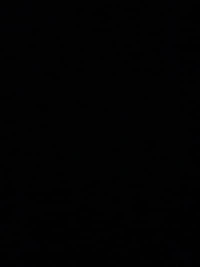 GREEN PARROT FOR SALE contact no 03198336864