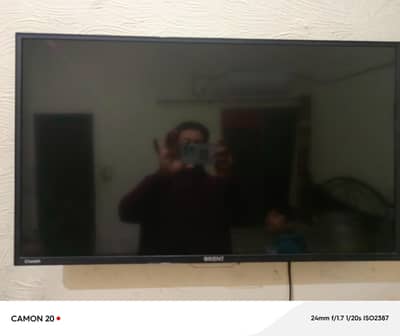 Orient orignal LED 32 inches read add