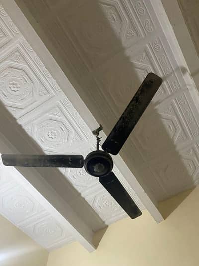 ceiling fans for sale