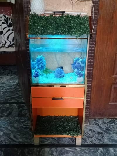 Aquarium For Fishes 
