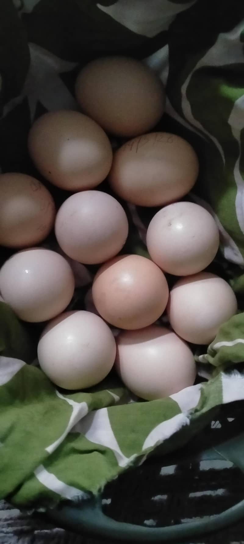 وائٹ ھیرا کے انڈے اور لاکھا کے فریش انڈے 0