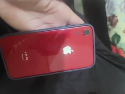 iphone xr    body  ha bas original
