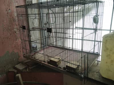birds cage