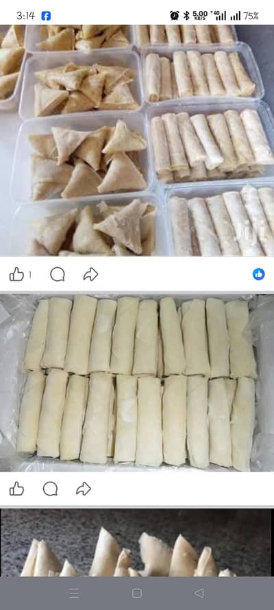 Ready to fry Roll  and Samosa required . . . .