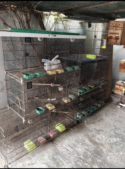 cage for sale bajri lovebird pinjra