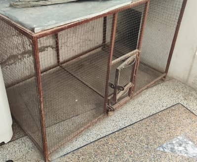 cage for sale