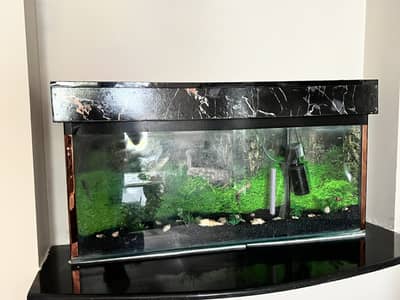 Aquarium for sale with all assesories