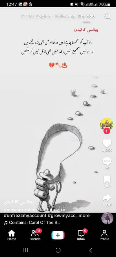 Roll samosa and pakora